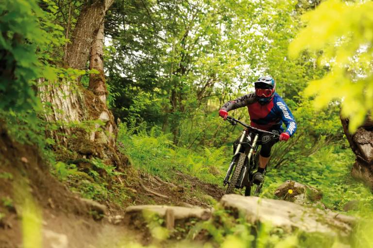 Percorso downhill allo Wiriehorn: Weryhorny image1