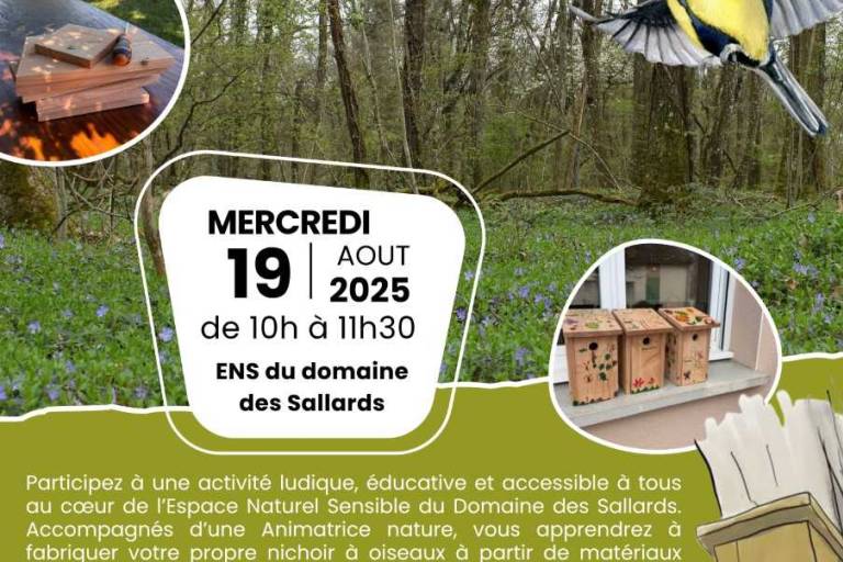 Construction de nichoirs image1