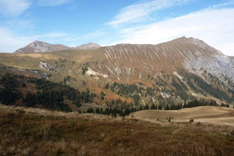 W12 Rinderberg - Alp Wistätt - Betelberg/Leiterli image1