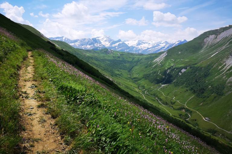 W12 Rinderberg - Alp Wistätt - Betelberg/Leiterli image2