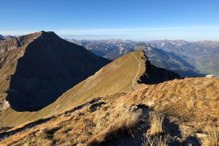 Chemin panoramique Niesen-Diemtigtal image2