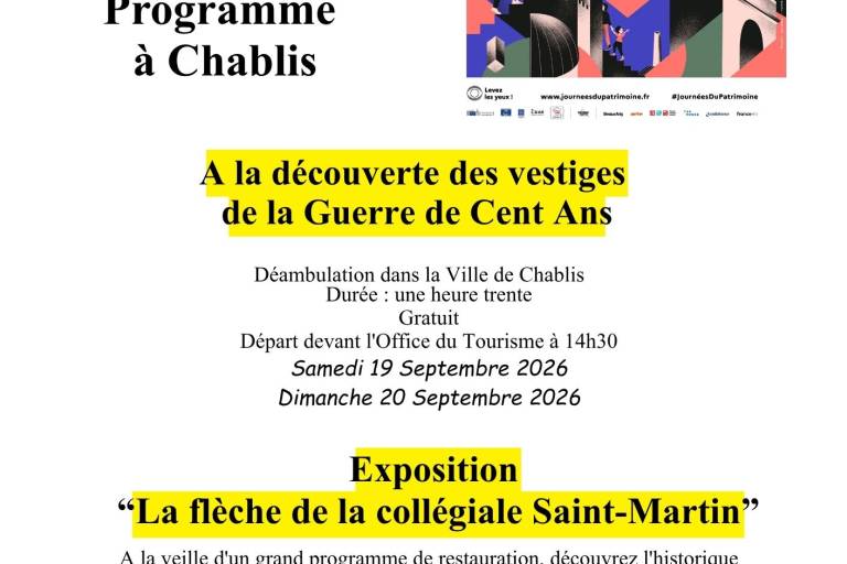 La flèche de la Collégiale Saint-Martin image1