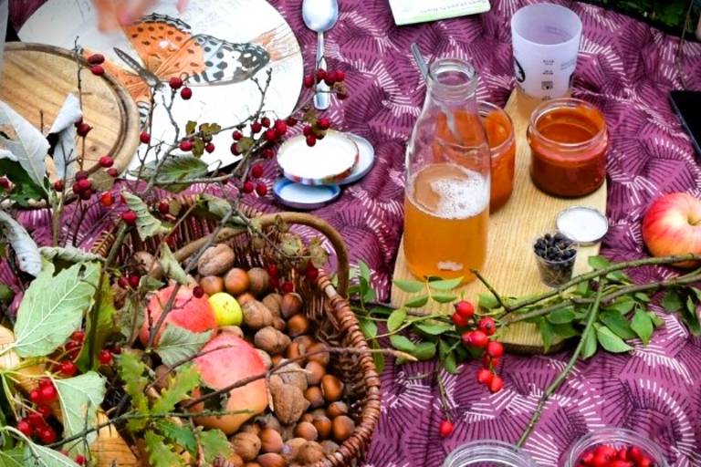 Journée Cueillette et Cuisine des Plantes sauvages comestibles image1