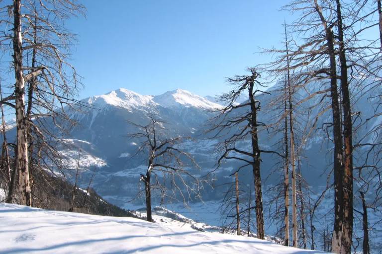 Albinen - Guttet - Feschel image1