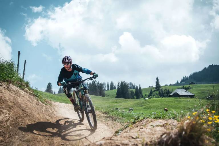 Percorso downhill al Wiriehorn: Old T-Bar image2