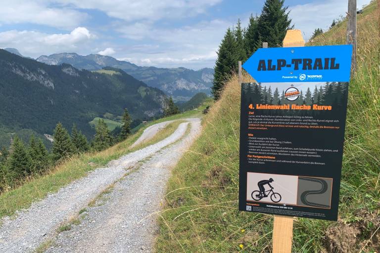 First trail educational path at Wiriehorn: Alptrail image1