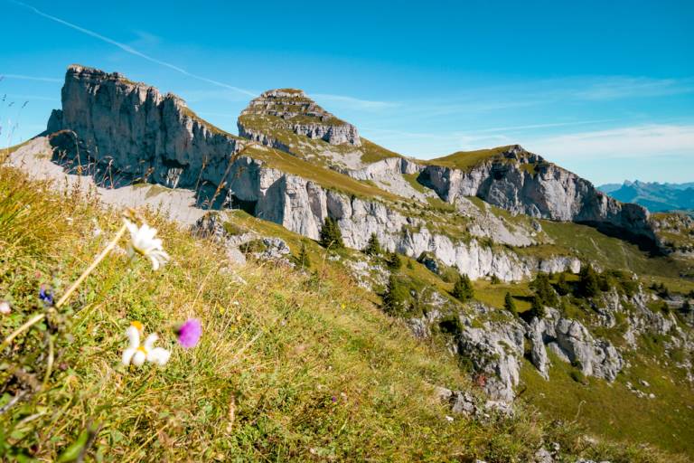 Le sentier des trois tours de Leysin | n°141 image1