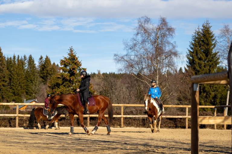 Stages d'équitation - vacances d'automne image1
