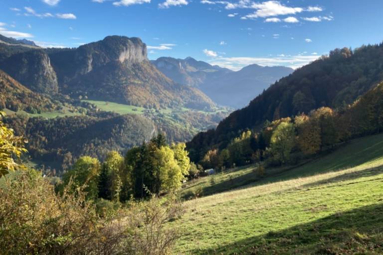 Découverte des plantes sauvages de la Vallée du Brevon image1