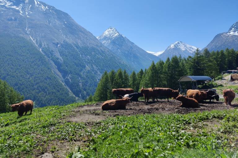 Village Loop – Saas-Fee image2
