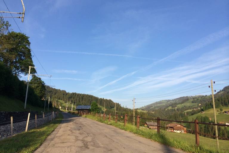 W10 Eggweid - Simmegrund - Zweisimmen image1