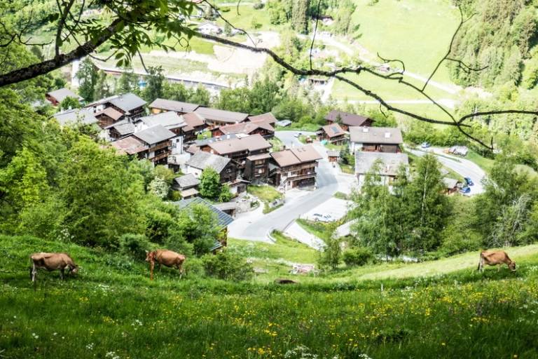 Grimentz - Mayoux über den Grand Bisse Nr. 2 image2
