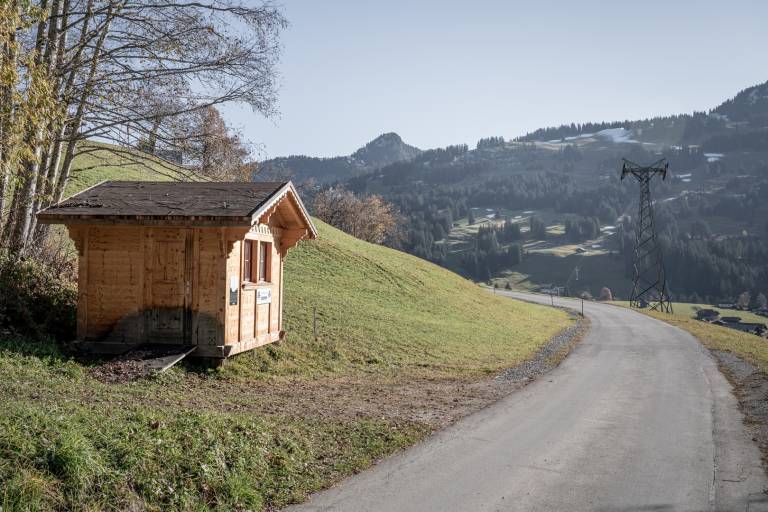 W21 hiking trail to Fondue Hüttli Bodmen image1