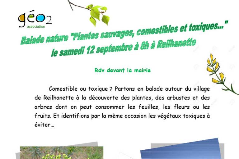 Plantes sauvages, comestibles et toxiques .... image1