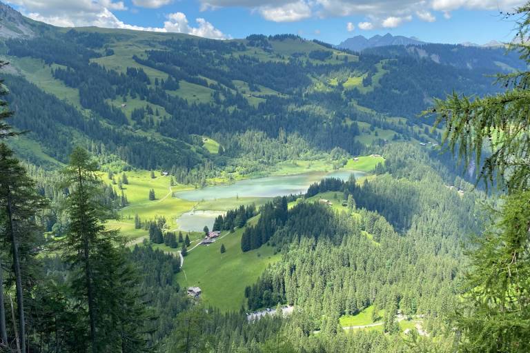 F3 Percorso Wildhorn Tappa 2: Baita Gelten - Iffigenalp (via baita Wildhorn) image1