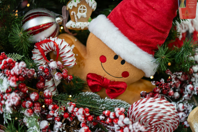 22ème edition du marché de Noël - Lentillères image1