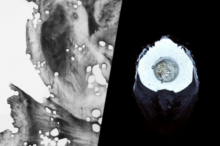 Exposition : "Anatomie du silence" image1