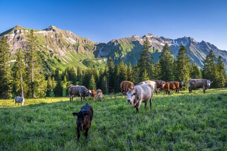 Glaubenbielen - Haglere - Sörenberg image1