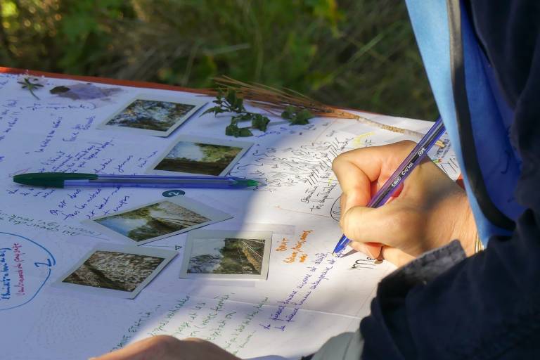 À quoi ressembleront nos forêts en 2100 ? image2
