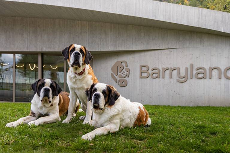Barryland – Martigny image1