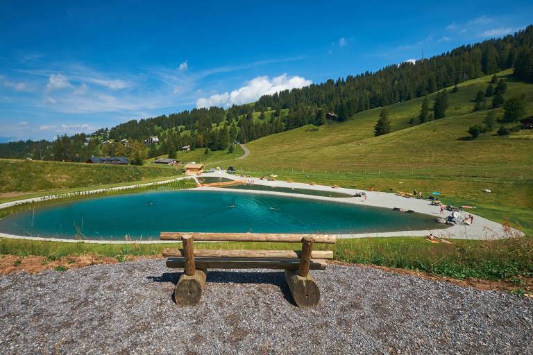 Les Chaux  - Frience - Barboleuse par les Ernets image1