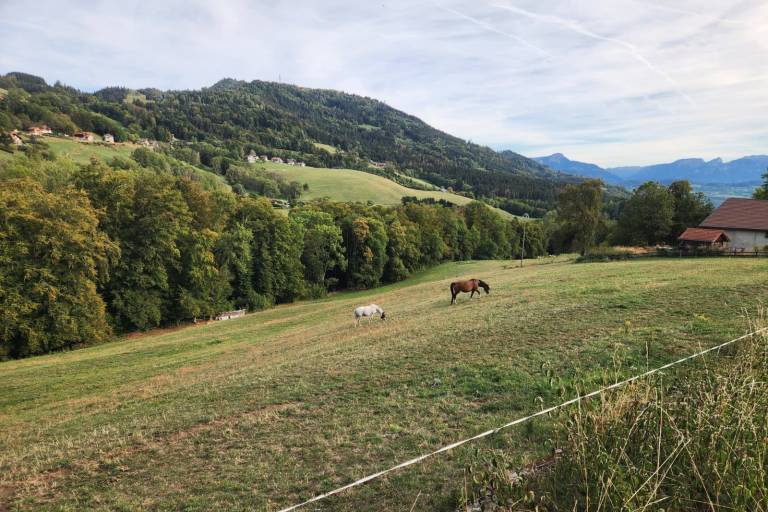 Balades Bogevanes - Hiking trail n°10 : The small tour image2