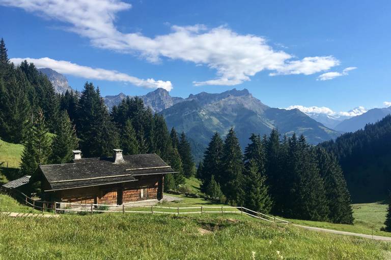 Bretaye-Col de Soud-Villars image1