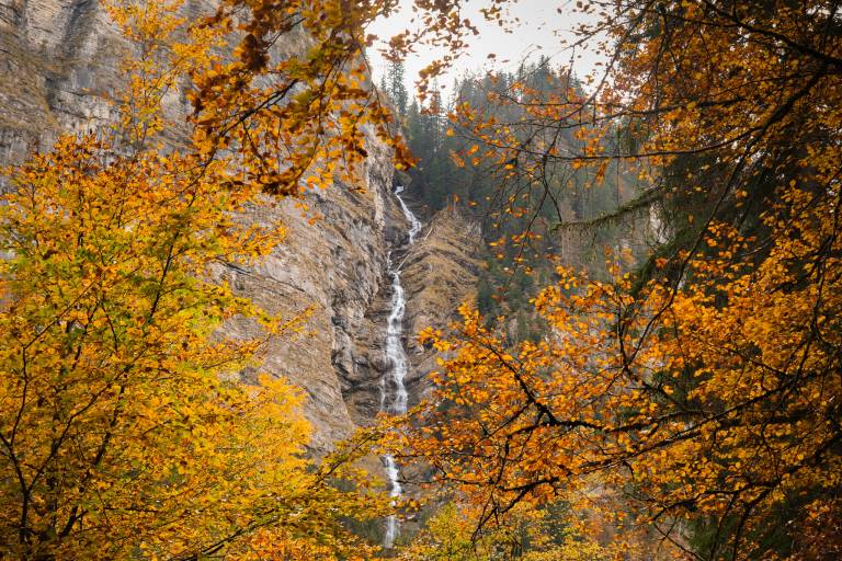 Itinéraire pédestre : du Lac de Montriond à la Cascade d’Ardent image2