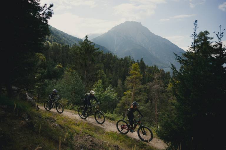 Rosswald Bike image1