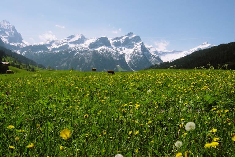 V4 Saanen - Gstaad - Feutersoey - Gsteig image1