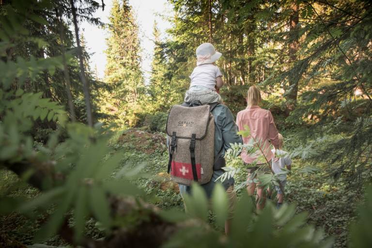 W26 Gstaad – Bissen – Turbach – Gstaad image1