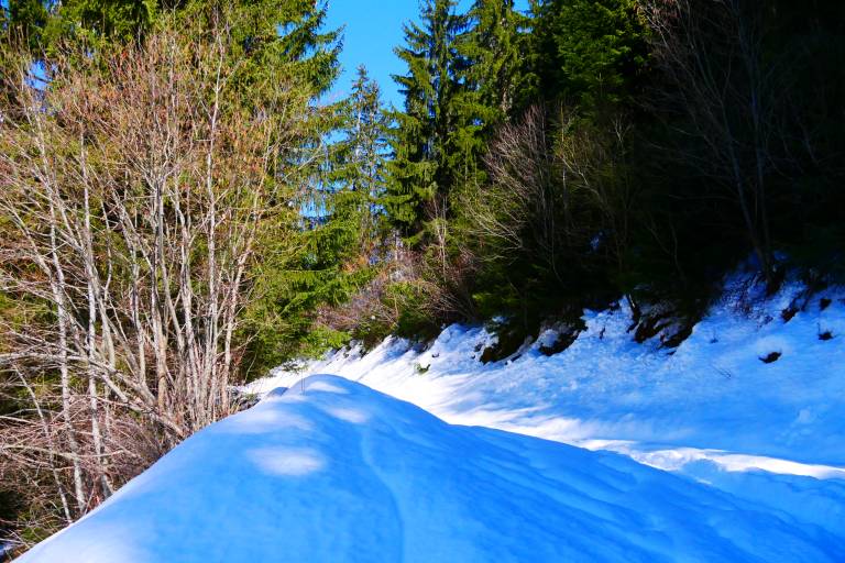 Liotraz snowshoe itinerary image1