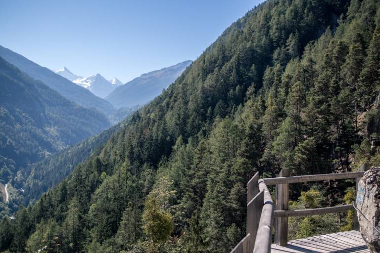 Bisse des Sarrasins - Vercorin-Pinsec image2