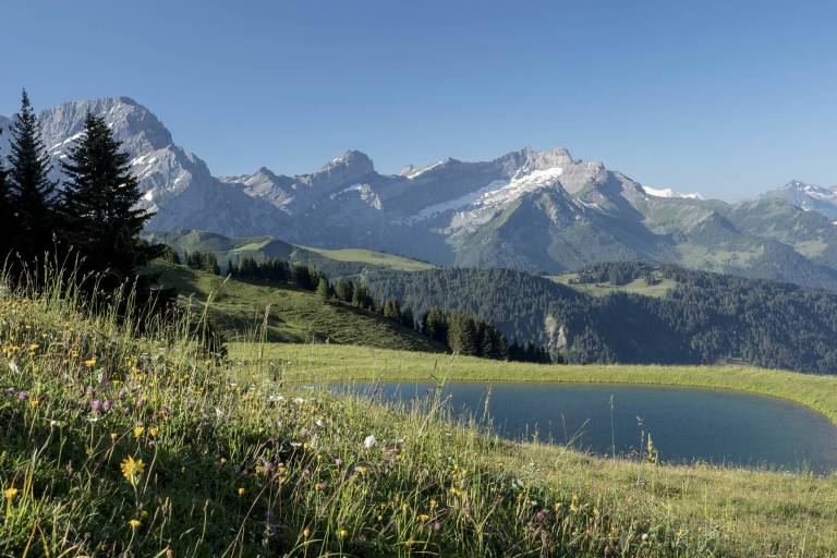Les Chaux - Taveyanne via Tsamayen image1
