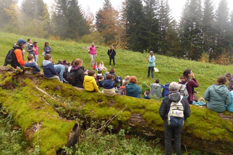 Balade commentée en forêt avec l'ONF image1
