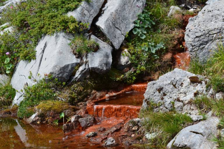 Bergwanderung Kraftort Grimmiwasser image1