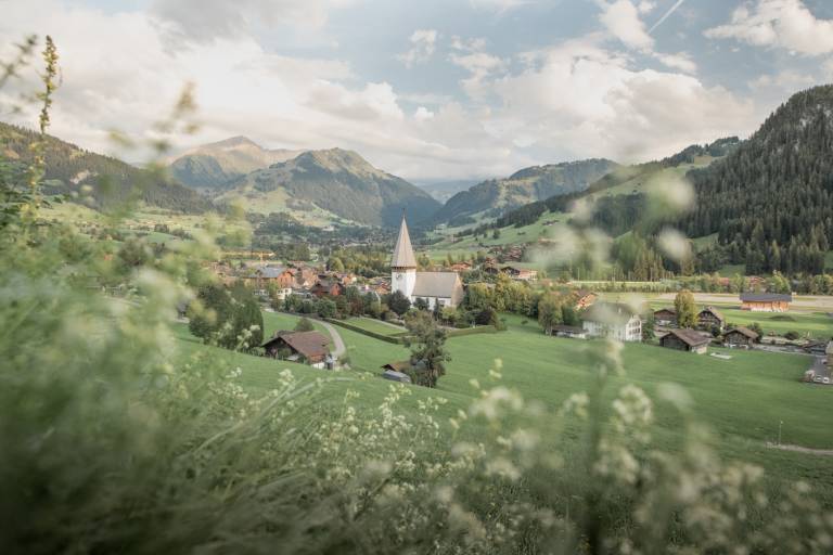 F2 AlpnessTrail tappa 11: Chalberhöni – Grubenberg image1