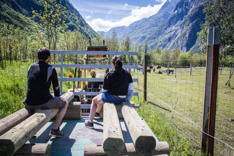 Visite de la Ferme des Bisons de l'Oisans image2