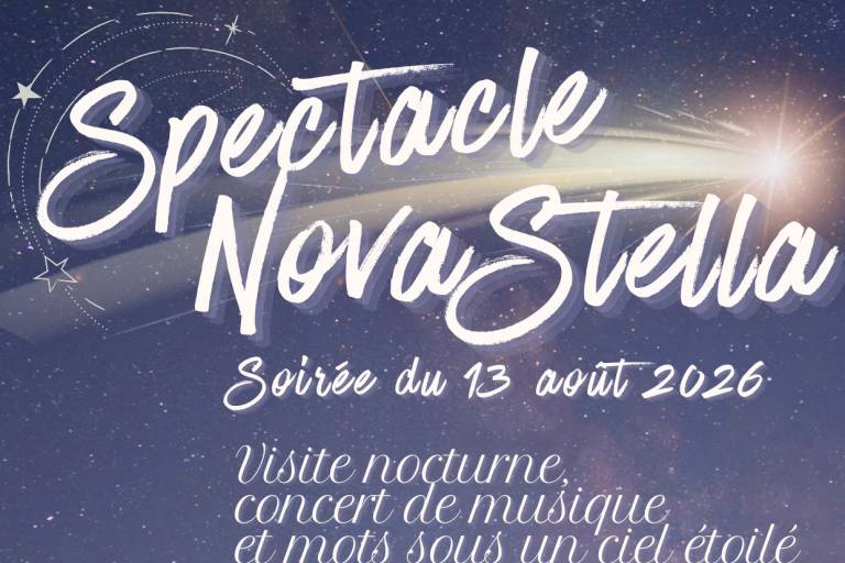 Spectacle Novastella au château d'Ancy-le-Franc image1
