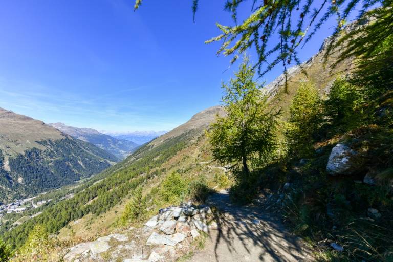 Zinal - Sentier des Arolles n°13 image2