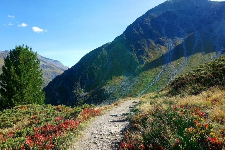 Grimentz/Bendolla - Staumauer Moiry über den Sotier-Weg Nr. 14 image2