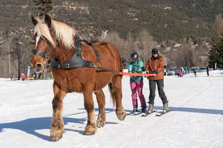 Les chevaux des cimes image2
