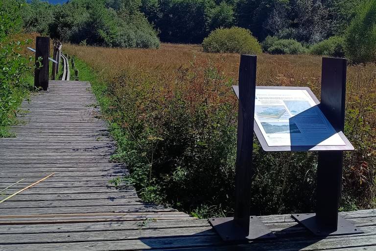 Maravant Marsh image2