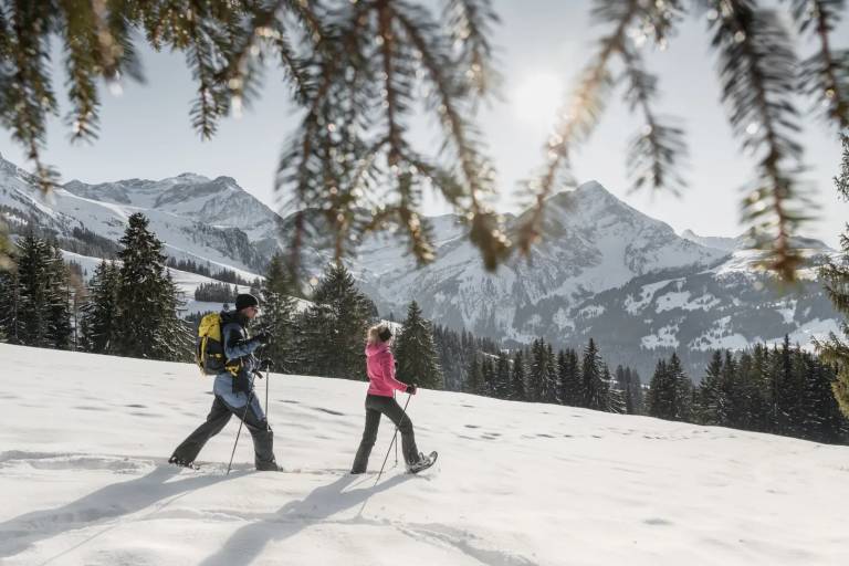 S5 Chrine Trail 1: Wispile - Chrinepass - Lauenen image2