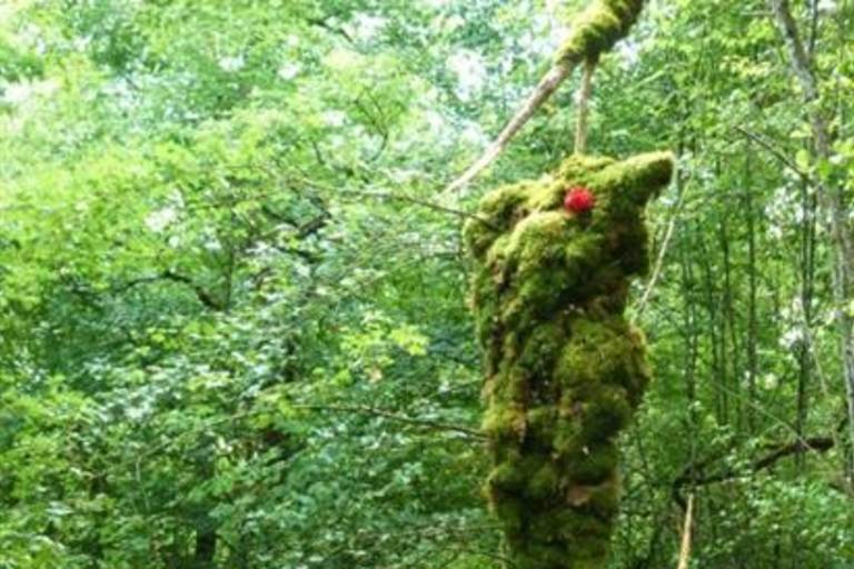 La Forêt des Géants Verts  image2