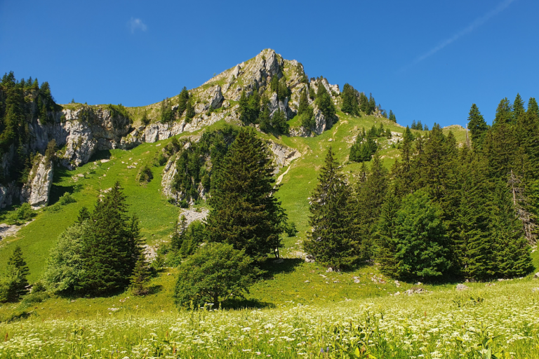 Itinéraire pédestre - Le circuit des Auges depuis les Glières image1