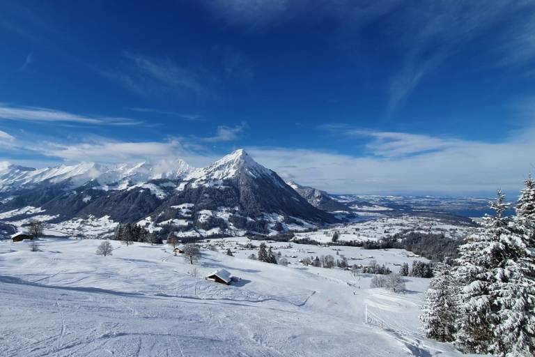 Faltschen image1