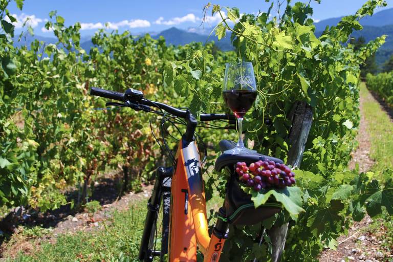 Vignes, Vélo & Verres au Domaine de l'Idylle image1