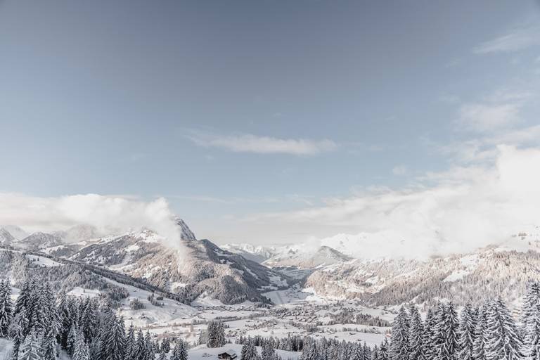 Ww9 Hornberg - Gfell - Hornberg image1