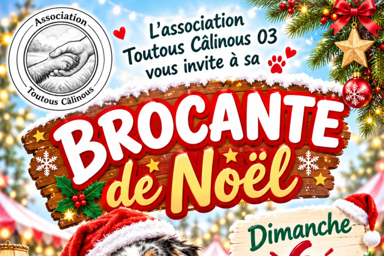 Brocante de Noel image1
